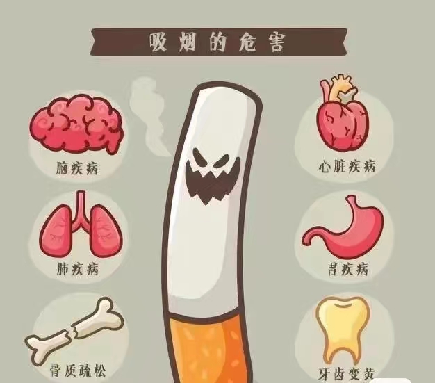 无烟校园 健康你我